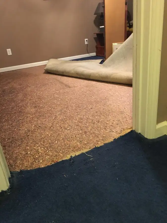 Carpet pad removal revealing water damage during Drying & Dehumidification in Swatara